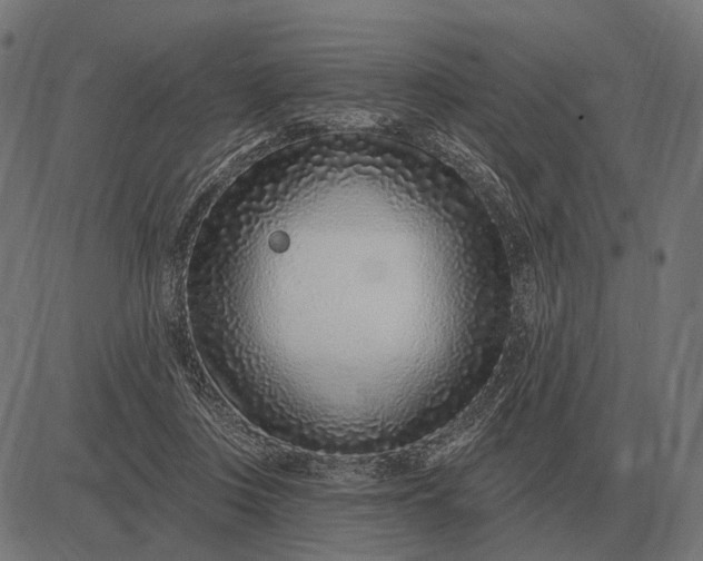 X0000082730359200702091843