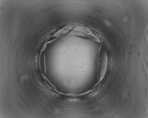 X0000082730360200702091843