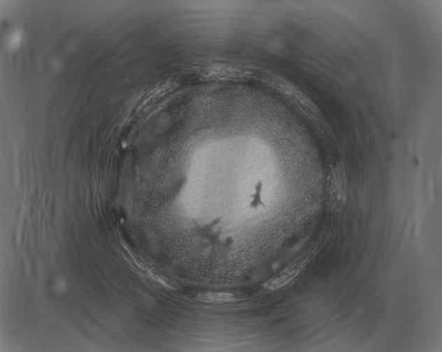 X0000082730361200702091843