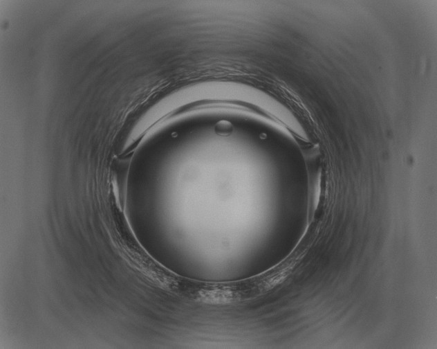 X0000082730362200702091843