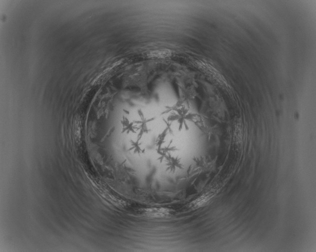 X0000082730363200702091843