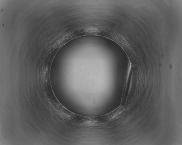 X0000082730364200702091843