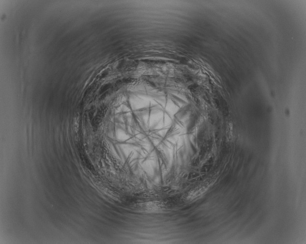 X0000082730365200702091843