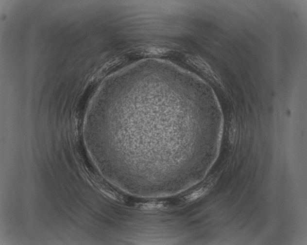 X0000082730366200702091843