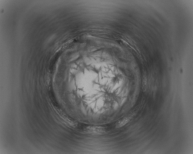 X0000082730367200702091843