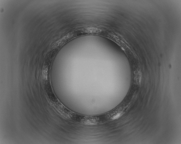 X0000082730368200702091843