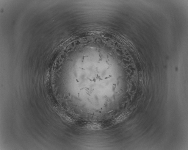 X0000082730369200702091843