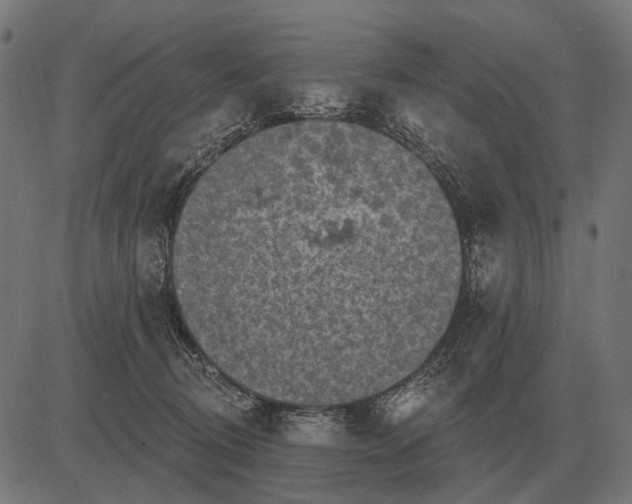 X0000082730370200702091843