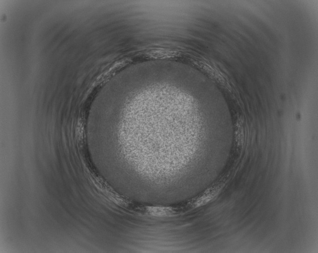 X0000082730371200702091843