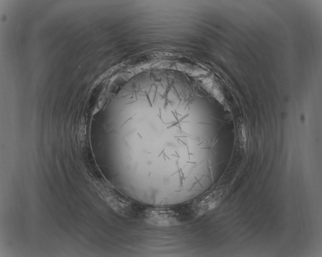 X0000082730372200702091843