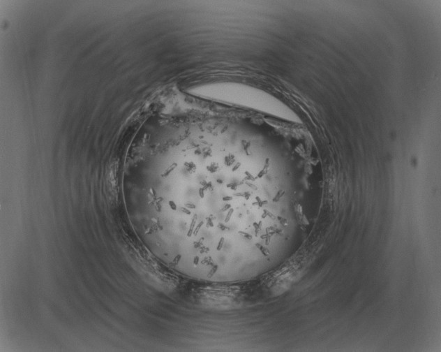 X0000082730373200702091843