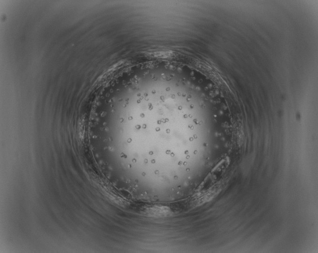 X0000082730374200702091844