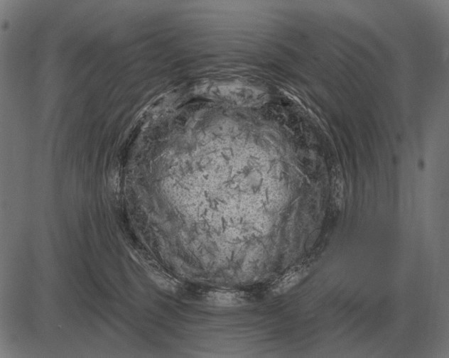 X0000082730375200702091844