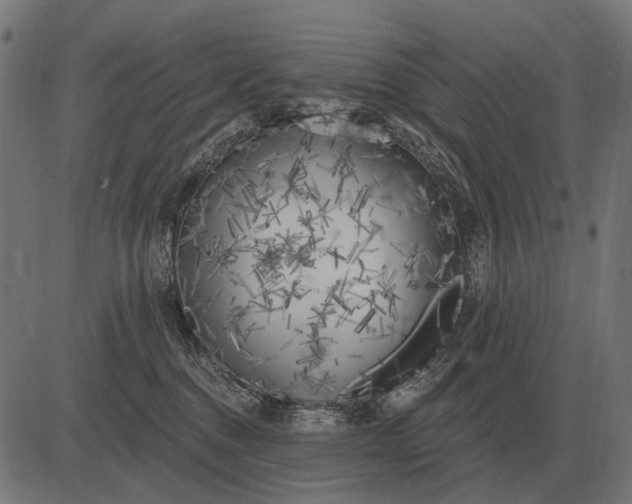 X0000082730376200702091844