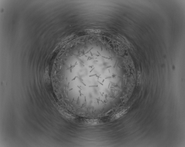 X0000082730377200702091844