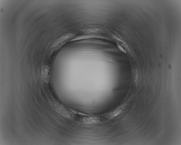 X0000082730378200702091844