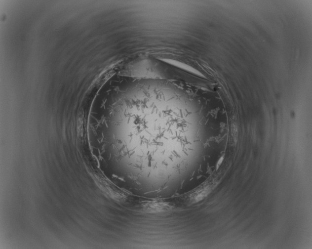 X0000082730379200702091844