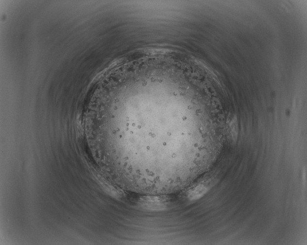 X0000082730381200702091844