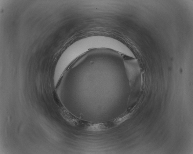 X0000082730382200702091844