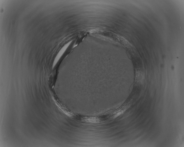 X0000082730383200702091844