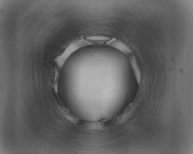 X0000082730384200702091844