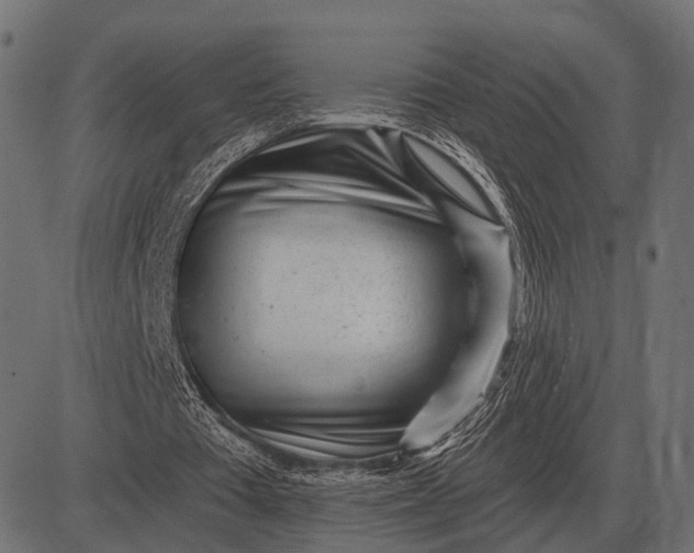 X0000082730385200702091843