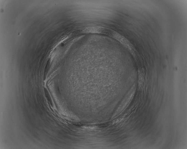 X0000082730386200702091843