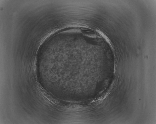 X0000082730387200702091843