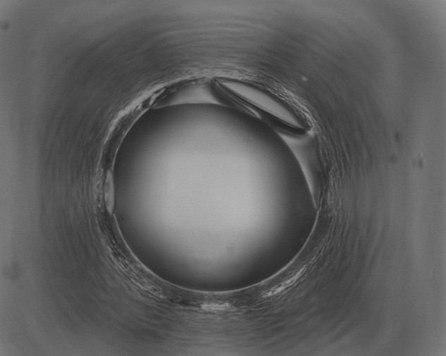 X0000082730388200702091843