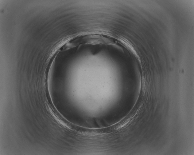 X0000082730389200702091843