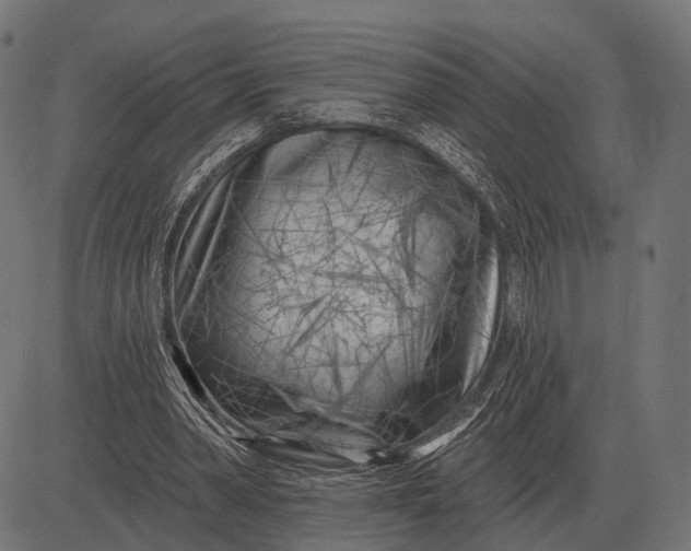 X0000082730390200702091843