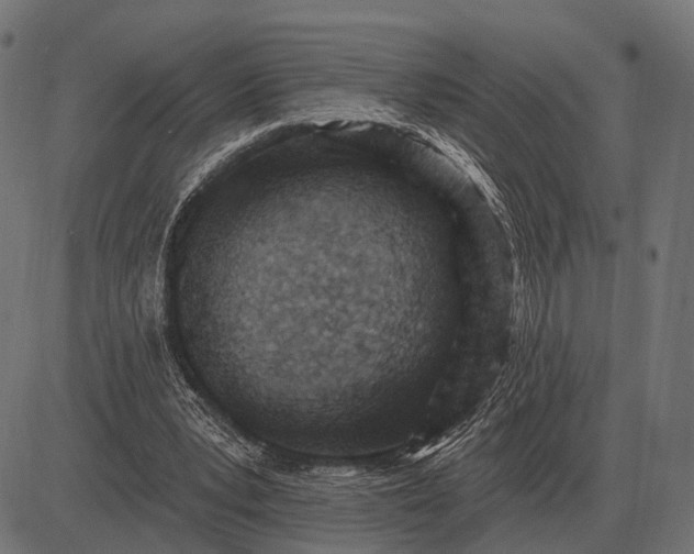 X0000082730391200702091843