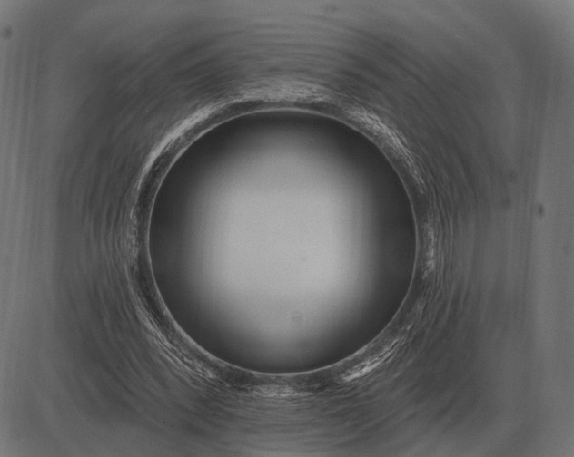 X0000082730392200702091843