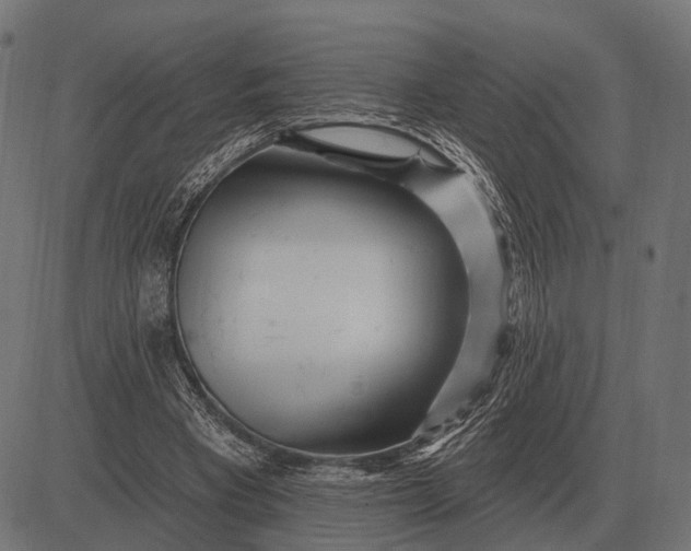 X0000082730393200702091843