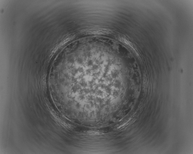 X0000082730394200702091843