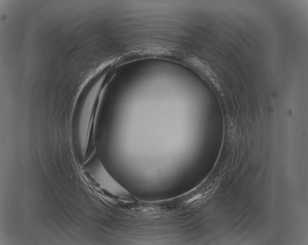 X0000082730395200702091843