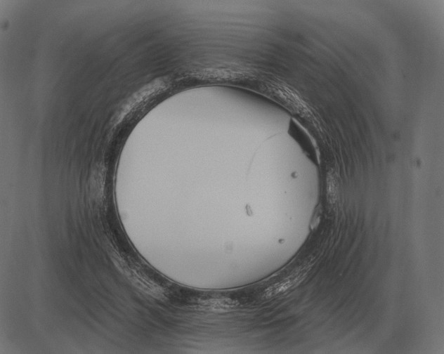 X0000082730396200702091843