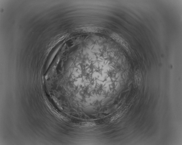 X0000082730398200702091843