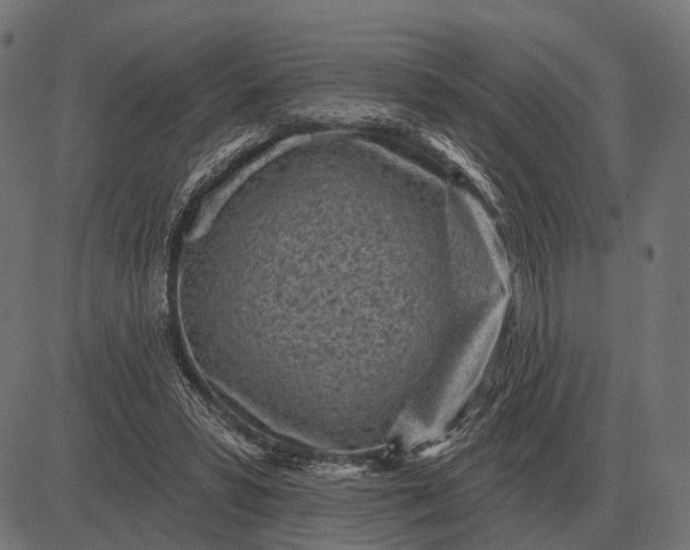 X0000082730399200702091843