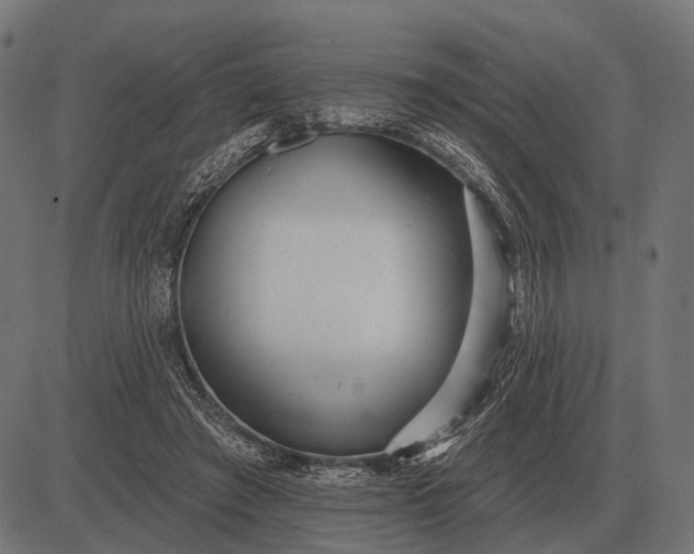 X0000082730401200702091843