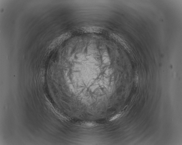 X0000082730402200702091843