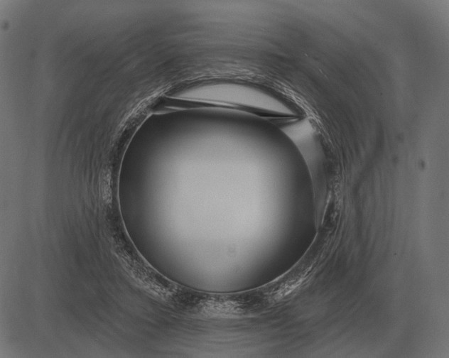 X0000082730403200702091843