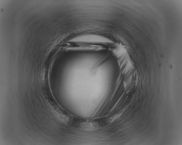 X0000082730404200702091843