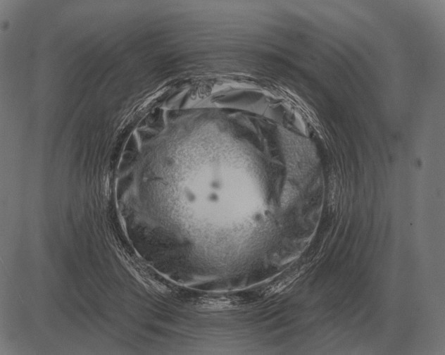 X0000082730405200702091843