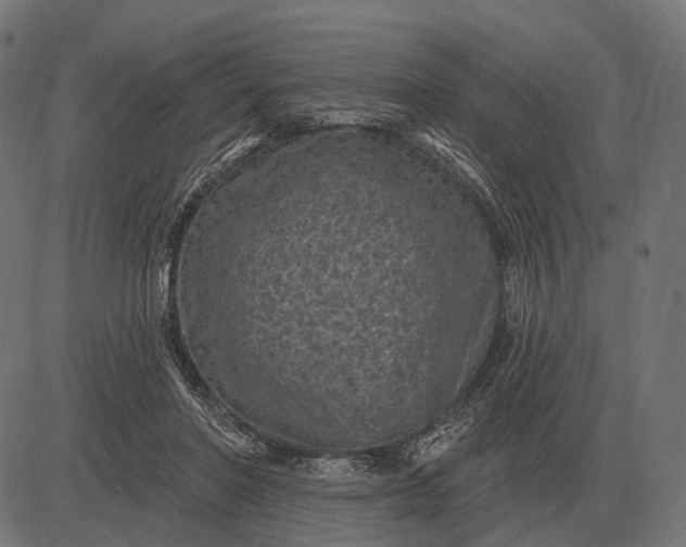 X0000082730406200702091843