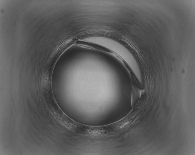 X0000082730407200702091843