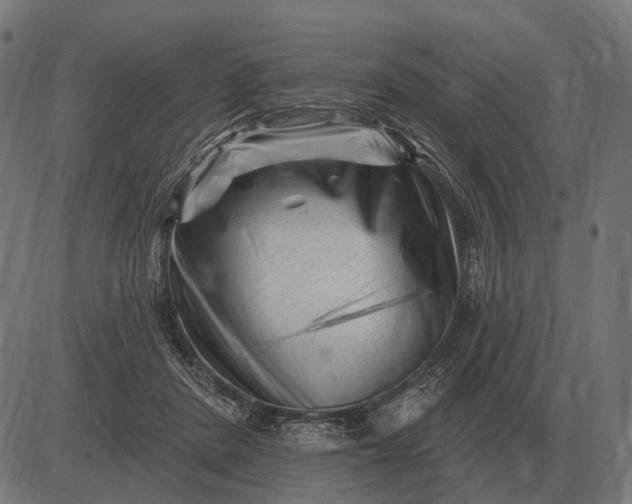 X0000082730408200702091843