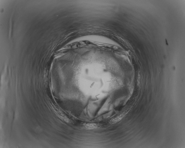 X0000082730409200702091843