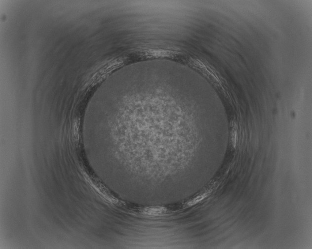 X0000082730410200702091842