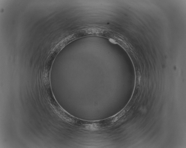 X0000082730411200702091842